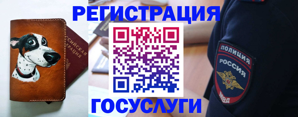 временная регистрация в квартире в Сухом Логе